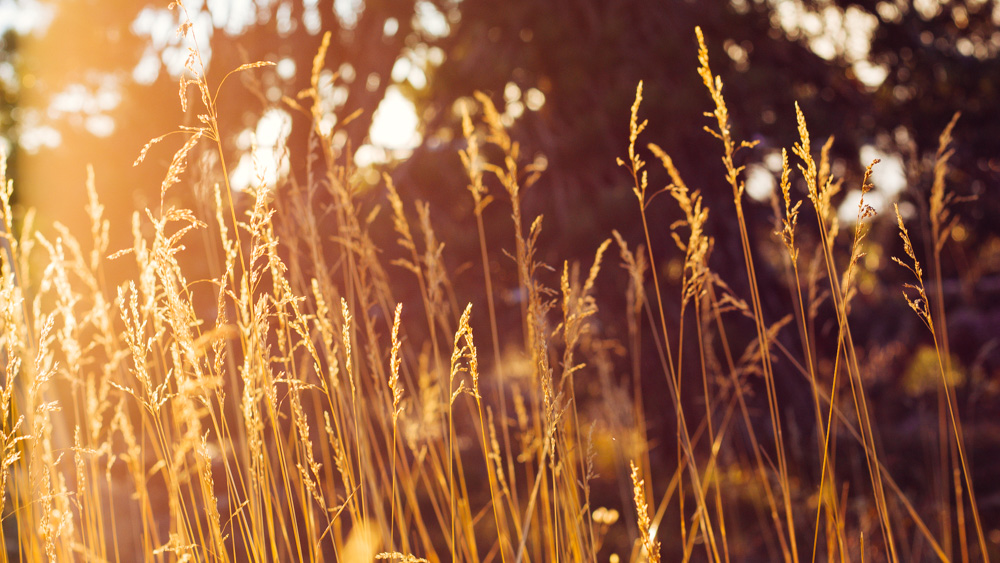 Mein Urlaub auf Zypern
