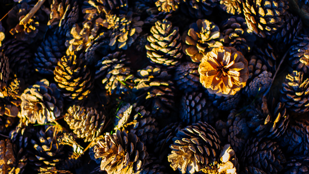 Mein Urlaub auf Zypern