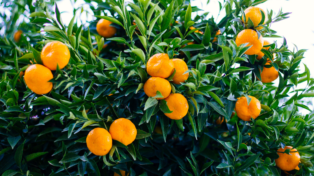 Mein Urlaub auf Zypern