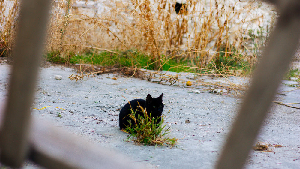 Mein Urlaub auf Zypern