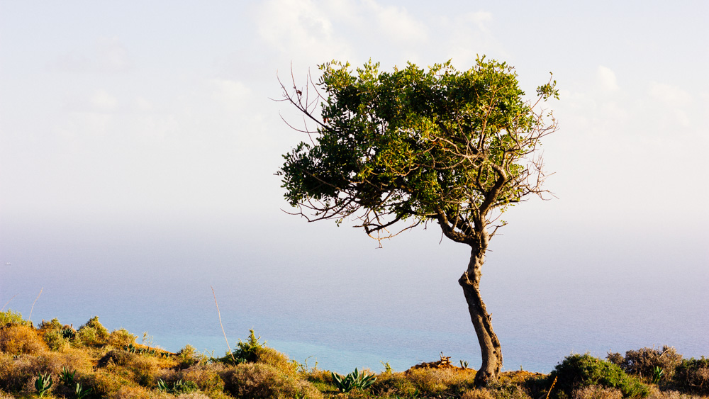 Mein Urlaub auf Zypern