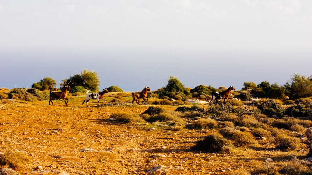 Mein Urlaub auf Zypern