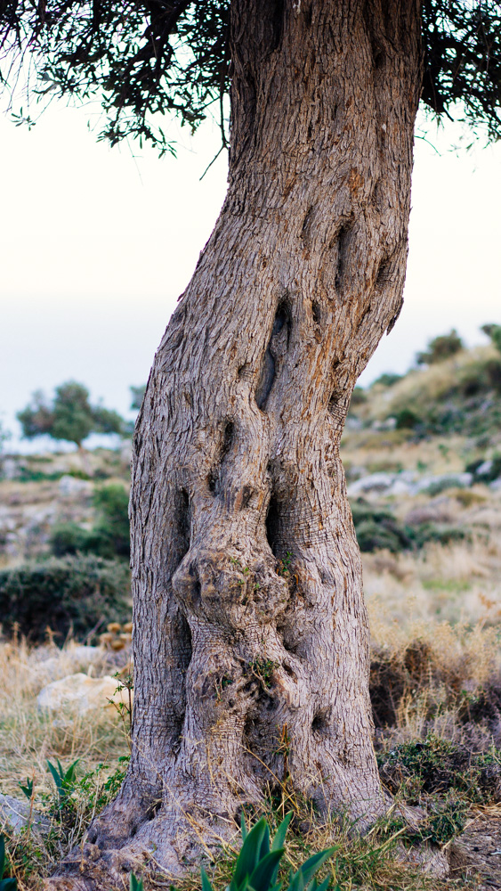 Mein Urlaub auf Zypern