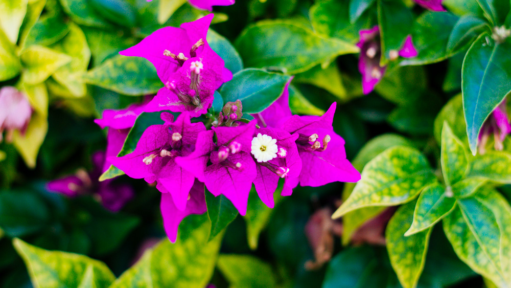 Mein Urlaub auf Zypern