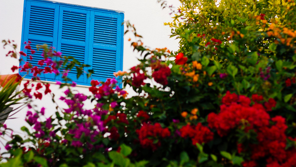 Mein Urlaub auf Zypern